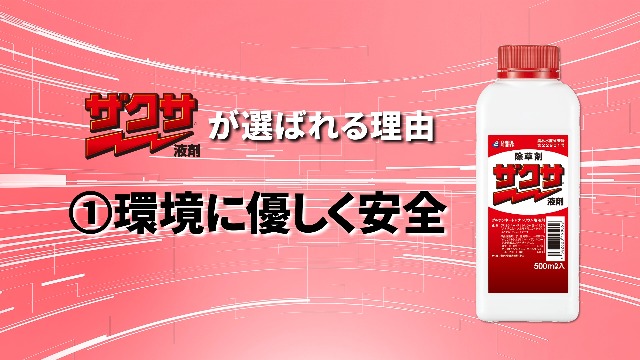 Amazon | 三井化学クロップ&ライフソリューション 除草剤 ザクサ液剤